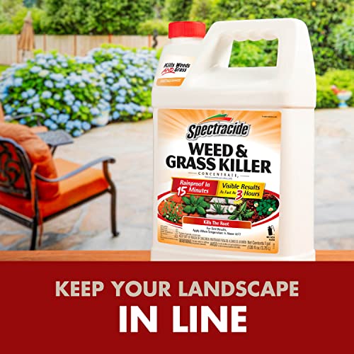 Spectracide Weed And Grass Killer Concentrate 1 Gallon, Use On Patios, Walkways And Driveways