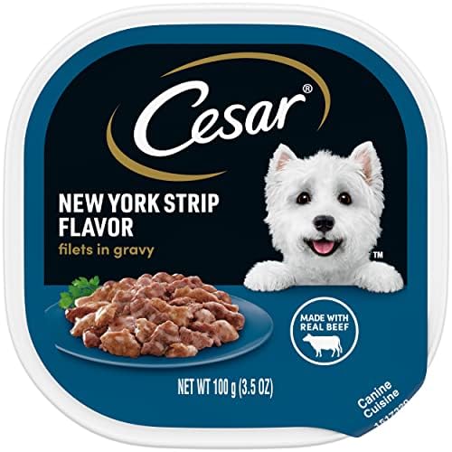 CESAR Adult Wet Dog Food Filets in Gravy New York Strip Flavor, 3.5 oz. Easy Peel Trays, Pack of 24