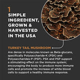 Super Snouts Turkey Tail Mushroom Supplement Powder for Dogs & Cats (5.29 oz) - Organic, Made in USA Antioxidant & Inflammation Support, Immune Support