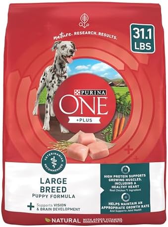 Purina ONE Plus Large Breed Puppy Food Dry Formula - 31.1 lb. Bag
