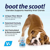 Glandex Dog Fiber Supplement Powder for Anal Glands with Pumpkin, Digestive Enzymes & Probiotics - Vet Recommended Healthy Bowels and Digestion - Boot The Scoot (Pork Liver, 5.5oz Powder)