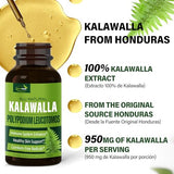 Verdeherb Kalawalla Root(Polypodium leucotomos) Immune Support Drops, Natural Kalawalla Herb Extract Immunity Boost Supplement for Improves Skin Health. Calaguala para Proteger la Piel. 2oz