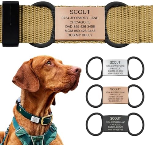 Personalized Dog Tags by ROAD iD | Silent & Durable | Jingle-Free Slide-On Design | Stainless Steel Name Tag Fits Any Collar | Multiple Colors & Sizes for Your Pet's Unique Style