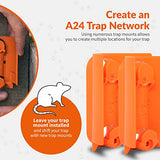 Goodnature Portable Trap Mount, Easy to Move Trap Mount for A24 Rat & Mouse Traps, Fits All A24 Traps (1 Pack)