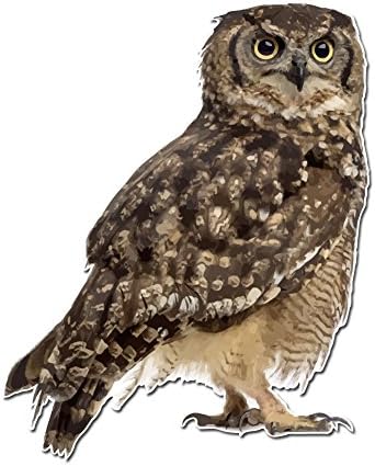 Photo Realistic Cute Owl - 8 Inch Full Color Vinyl Decal for Indoor or Outdoor use, Cars, Laptops, Décor, Windows, and More