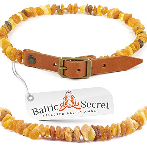 Dog Amber Collar - Natural Amber Necklace for Large, Small, Medium Dogs, Cats - Organic Hancrafted Cat Collars for Puppy - Premium Pet Jewelry (13.8-15.7 IN (35-40 CM))