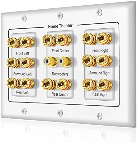5 6 7.1/7.2 or 8.1/8.2 One or Two Subwoofer Compatible 16 Banana Post and 2 RCA Speaker Wall Plate for Home Theater Audio