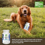 Only Natural Pet Brewer's Yeast & Garlic Chewables - All-Natural Flea & Tick Prevention for Dogs - Fortified with B Vitamins - Promotes Healthy Skin & Coat - 300 Count Tablet (2 Pack)