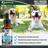 Vetflix Cranberry Dog & Cat UTI Treatment - Best UTI for Pets - Made in USA - Dog & Cat Kidney Support - Cat Bladder Drops - Pet Immune Health Supplement - Marshmallow, Dandelion Root, Pumpkin Seed