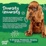 Vital Planet - Flora Dog Probiotics, Dog Chews Supplement with 20 Billion Cultures and 11 Strains, Immune and Digestive Support Chewable Probiotics for Dogs, 30 Natural Bacon Flavored Soft Chews