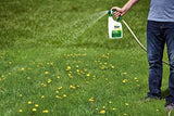 Roundup For Lawns3 Ready-To-Spray (Northern), 32 oz. - Lawn Safe Weed Killer for Northern Lawns, Kills Crabgrass, Dandelion, Clover and Yellow Nutsedge - Kills Weeds, Not the Lawn