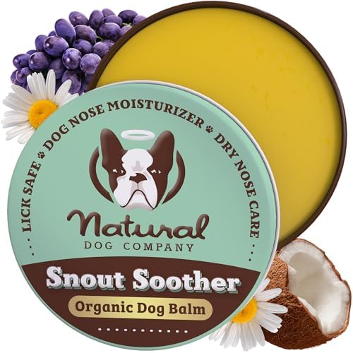 Natural Dog Company Snout Soother Balm (1 oz) for Dry, Cracked Noses, All-Natural, Lick-Safe, Soothing Nose Balm with Moisturizing Butter, Winter Nose Protection Dogs