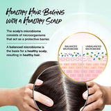 Biotera Moisturizing Shampoo | Hydrates & Moisturizes Dry, Medium, Fine Hair | Microbiome Friendly | Vegan & Cruelty Free | Paraben Free | Color-Safe | 32 Fl Oz