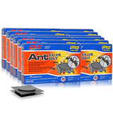 PIC Plastic Ant Control Bait Stations (12-Pack), Kills Ant Colonies Effectively (144 Traps Total)