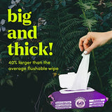 Goodwipes Flushable Butt Wipes Made w/Soothing Botanicals & Aloe – Soft & Gentle Wet Wipe Dispenser for Home Use, Septic & Sewer Safe – Largest Adult Toilet Wipes – Lavender, 360 count (6 packs)