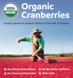 USDA Organic Cranberry Pills - 50:1 Concentrate Equals 25,000mg of Fresh Cranberries (Vegan) for Urinary Tract Health & Kidney Cleanse - Cranberry Pills for Women - UTI Support Supplement 120 Capsules