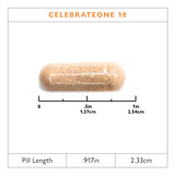 Celebrate Vitamins CelebrateONE 18 One Per Day Bariatric Multivitamin with Iron Capsules, 18 mg of Iron, for Post-Bariatric Surgery Patients, 30 Count, 1 Month Supply