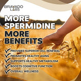 Bravado Labs Premium Spermidine Supplement - Concentrated Wheat Germ Extract with Thiamin - Advanced Mitochondria, Cell Health and Immune Support - Non-GMO, All-Natural Formula - 60 ct