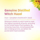 Dickinson's Original Witch Hazel Pore-perfecting Toner,100% Natural, 16 Fl Oz (Pack of 6)