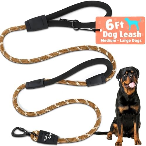 6 Foot Dog Leash, Two Extra Padded Handles, Heavy Duty Dog Leash for Medium to Large Pets, Highly Reflective, Shock-Absorbing No Pull Rope Lead, Durable for Walking, Running, Training Lead - Roam Gear