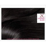 L'Oreal Paris Excellence Creme Permanent Hair Color, 2C Luscious Black, 100 percent Gray Coverage Hair Dye, Pack of 1