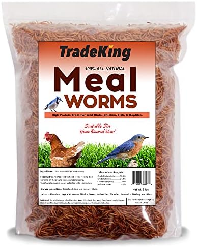 5 lb Dried Mealworms - High Protein Treat for Wild Birds, Chicken, Fish & Reptiles
