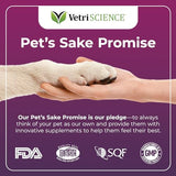 VetriScience Vetri DMG Liquid Drop - 114ml Bottle - Immune Support Supplements for Dogs and Cats