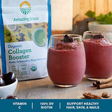 Amazing Grass Vegan Collagen Booster Smoothie Mix: Plant Based Collagen Support Smoothie Booster with Amla, Schisandra & Maqui Berry, 30 Servings