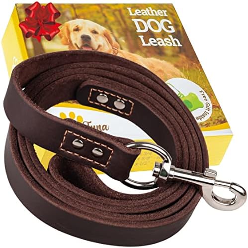 ADITYNA Leather Dog Leash 6 ft x 3/4 inch - Soft, Strong, Heavy Duty for Large & Medium Breeds - Dog Lead for Walking, Training, Hiking and Running (Brown)