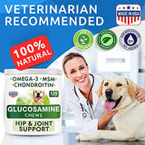 Glucosamine Chondroitin Dog Hip & Joint Supplement - Joint Pain Relief - Hip & Joint Chews for Dogs - Joint Support Large Breed - Senior Doggie Vitamin Pills Joint Health - (240 Treats - Chicken)