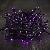 300 LED Halloween Lights, 98.5FT Halloween String Lights with 8 Lighting Modes, Waterproof & Connectable Mini Lights, Plug in for Indoor Outdoor Holiday Christmas Party Bedroom Decorations (Purple)