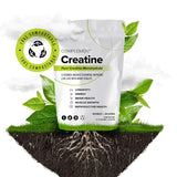 Complement Creatine Monohydrate Micronized Powder for Women and Men (5g per serving, 60 Servings) Pre Workout, Post Workout Muscle Recovery, Brain Health, Longevity- Vegan, Unflavored- 2 Month Supply