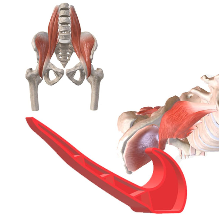 TURQEZRA Hip Lever Release Tight Hip Flexors Deep Massage Strained Iliacus Psoas Iliopsoas Lower Abdomen - Pain Relief in SI Joint and Lower Back