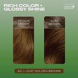Clairol Natural Instincts Demi-Permanent Hair Dye, 6G Light Golden Brown Hair Color, Pack of 3