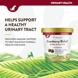 NaturVet – Cranberry Relief Plus Echinacea – Helps Support a Healthy Urinary Tract & Immune System – 60 Soft Chews