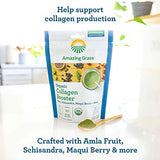 Amazing Grass Vegan Collagen Booster Smoothie Mix: Plant Based Collagen Support Smoothie Booster with Amla, Schisandra & Maqui Berry, 30 Servings