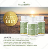 Oceangreen Organics Seaweed Kelp Supplements New Zealand | Premium - 100% Pure Organic & Natural - Multi-Nutrient & Thyroid Support Supplement - Natural Source of Iodine | 60 Vegetarian Capsules