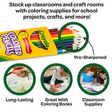 Crayola Bulk Colored Pencils for Kids (24pk), Bulk School Supplies For Teachers, Back to School Classroom Supplies, 12 Colors [Amazon Exclusive]