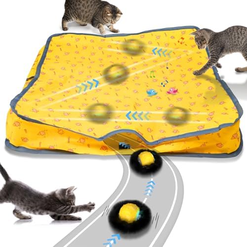 Interactive Cat Toys for Indoor Cats,Self Rolling Cat Ball in Play Mat,Automatic Motion Activated Moving Toy Hide and Seek Chase Game for Bored Cats,Real Chirp Birds,Rechargeable