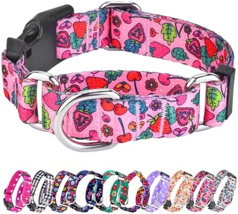 Hikiko Summer Dog Collar for Small Medium Large Dogs, Adjustable Nylon Fruit Pattern Martingale Collars with Quick Release Buckle (Pink Strawberry,M)