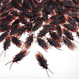 Ksquares Prank Fake Roaches, Favorite Trick Joke Toys Look Real, Scary Insects Realistic Plastic Bugs, Novelty Cockroach for Party, Christmas, Halloween (60)