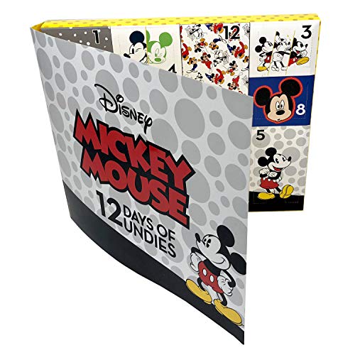 Disney Boys Mickey Mouse 12pk Of In Advent Box, Surprise Underwear For Potty Training Fun With Stickers & Chart Briefs, 12-pack, 2-3T US