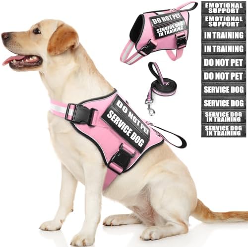 Service Dog Vest Harness and Leash Set+10 Patches,No Pull&Easy Walk Reflective Dog Harness with Soft Padded Handle for Training/Everyday,Fit Small/Medium/Large/Extra-Large Dogs (Pink L)