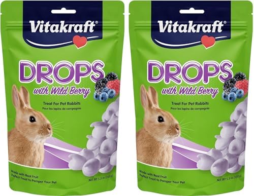 Vitakraft Drops Rabbit Treat - Wild Berry - Yogurt Treats for Rabbits Purple 5.3 Ounce (Pack of 2)