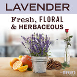 MRS. MEYER'S CLEAN DAY Holiday Hand Soap Bundle (Lavender + Lemon Verbena, Rainwater + Oat Blossom)