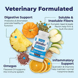 Glandex Dog Fiber Supplement Powder for Anal Glands with Pumpkin, Digestive Enzymes & Probiotics - Vet Recommended Healthy Bowels and Digestion - Boot The Scoot (Beef Liver, 4.0oz Powder)