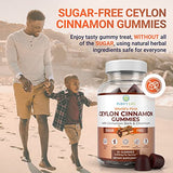 Ceylon Cinnamon Gummies – 2000 mg Per Serving, Vegan & Gluten-Free (60 Chews)