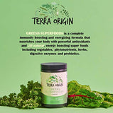 TERRA ORIGIN Superfoods Greens Immune Defense and Digestive Support | Probiotics, Organic Vegetables, Digestive Enzymes | Non-GMO, Gluten-Free, Dairy Free, Vegan | 30 Servings | Coffee Flavor