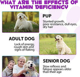 IMMAL 15 in 1 Dog Multivitamin Drops for Dogs - Dog Vitamins & Supplements Natural Dog Multivitamins and Minerals - Glucosamine, MSM for Skin & Coat, Heart Health, Bones, Joint, Immune System Support