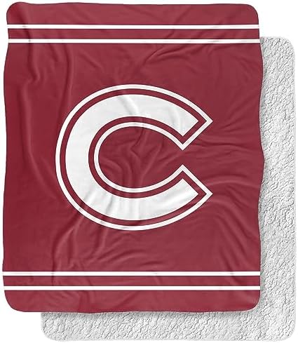 LOGOVISION Official Collegiate Primary Logo Collection Silky Touch Sherpa Back Super Soft Throw Blanket Collection